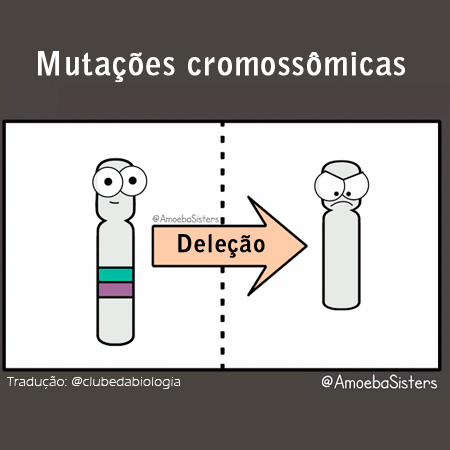 isabeldiazevedo  GIF