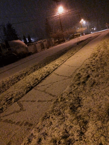 oksettledown #mazzybarksbackatcancer mymazzy GIF