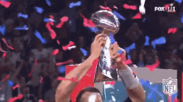 Super Bowl Win GIF by NFL