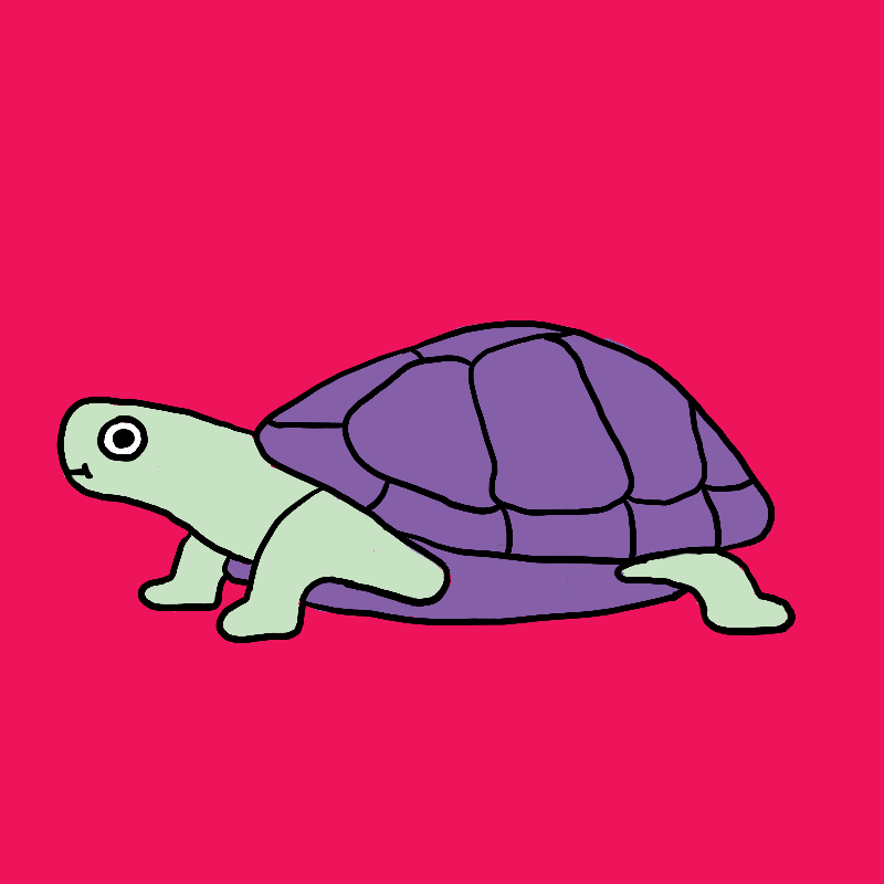 baby ninja turtle gif baby ninja turtle gif
