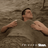Season 3 Episode 25 GIF by Friends