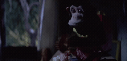 braddd  GIF