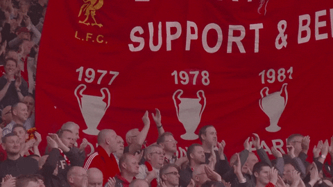 premier league lfc GIF by Liverpool FC