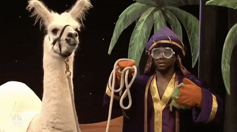 Camel gif