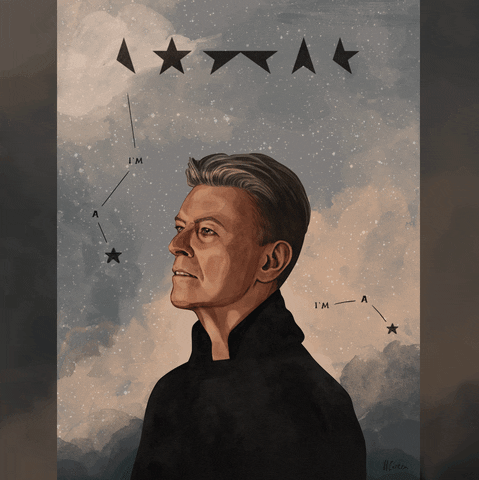 andradabonea gif david bowie GIF