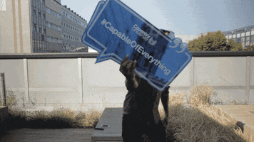 capableofeverything GIF by Coventry University