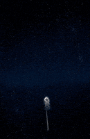 motion picture loop GIF by A. L. Crego