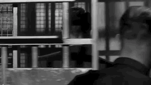 Classic Film Prison GIF by Warner Archive - Find & Share on GIPHY