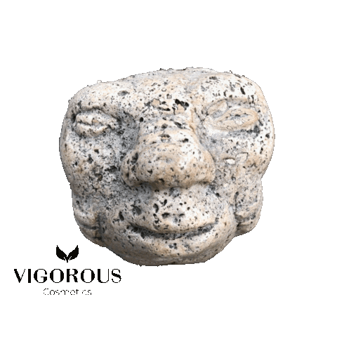 Vigorousschildkröte Sticker by vigorouscosmetics