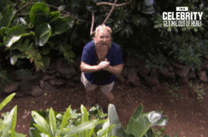 shimmy spying GIF by I'm A Celebrity... Get Me Out Of Here! Australia