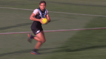 goal crowd GIF by Port Adelaide FC