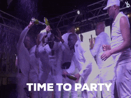 Party GIF