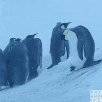 Winter Slipping GIF by BBC America