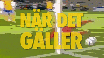 World Cup Football GIF by Betser