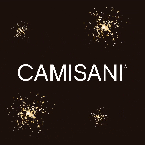 Djs GIF by camisanidjs