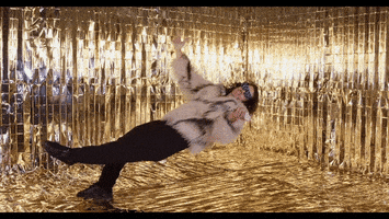 200.gif?cid=fc005b088d1dd99d82c6e291a04d2081fd5cff2520cec7a0&rid=200.gif&ct=g