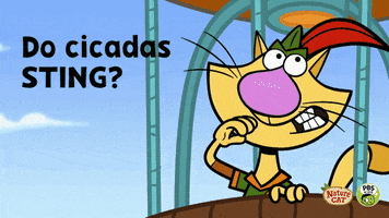 Nature Cat No GIF by PBS KIDS
