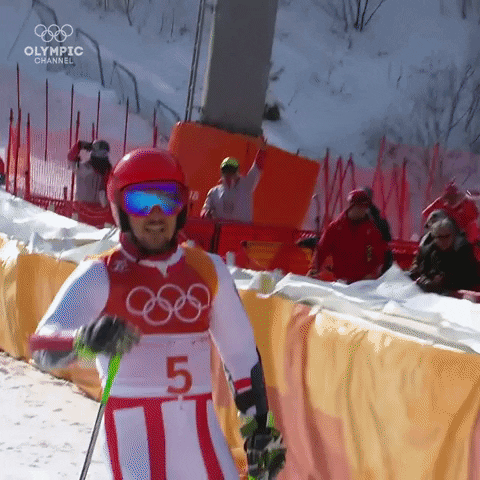 Winter Olympics Sport GIF by Olympics