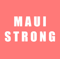 kklmaui GIF