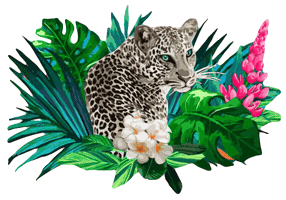 Animated Sticker
