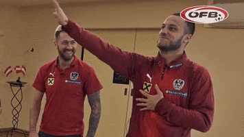 National Team Smile GIF by ÖFB