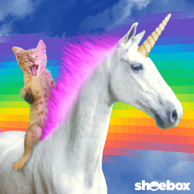 Video gif. An orange kitten rides a unicorn with flaming pink hair. The kitten has his mouth wide open and tongue sticking out. A unicorn gallops next to a pixelated rainbow. 
