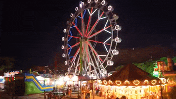Ferris Wheel Valencia GIF by For 91 Days