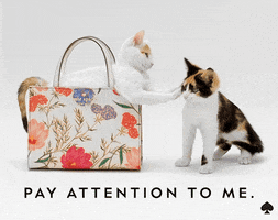 GIF by kate spade new york