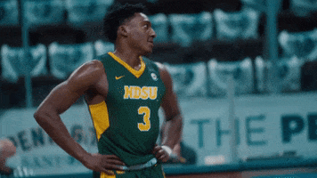 Basketball Bison GIF by NDSU Athletics