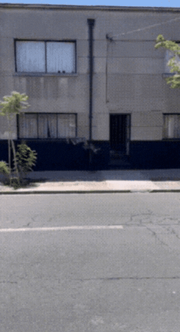 giphy.gif