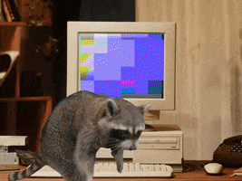 Computer Raccoon GIF by Sydney Sprague