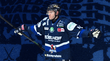 Tor Sauerland GIF by Iserlohn Roosters
