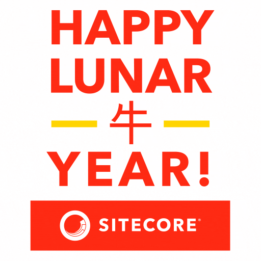 Happy New Year GIF by Sitecore