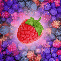 art raspberry GIF
