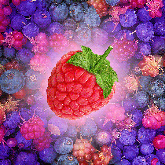 Любимая летняя ягода