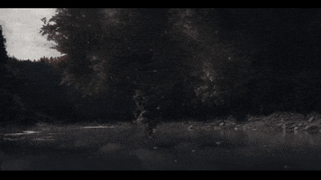 Adow GIF