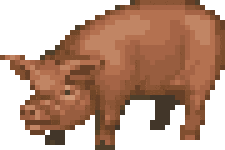 Animated Sticker
