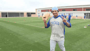 Peace Cubs GIF by Marquee Sports Network