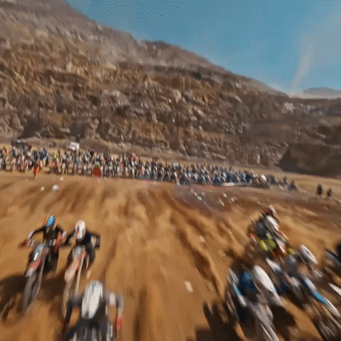 Racing Race GIF by Red Bull