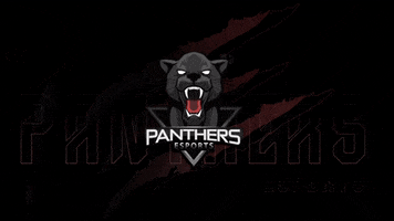 Panthers Esports Club GIF