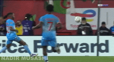 Boulbina GIF