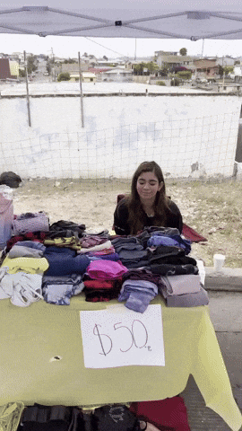 Viega GIF