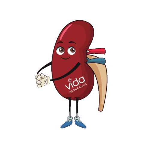 Vida Mobile Clinic Sticker