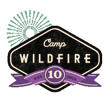 Fireworks Sticker by CampWildfire