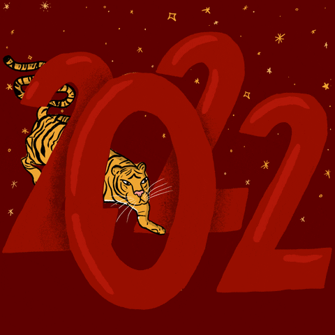 Excited Happy New Year GIF by Hello All