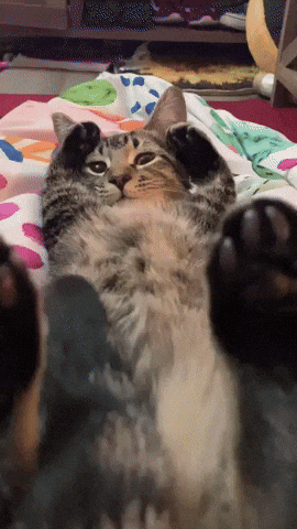Pickles GIF