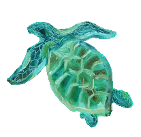 Turtle Sticker