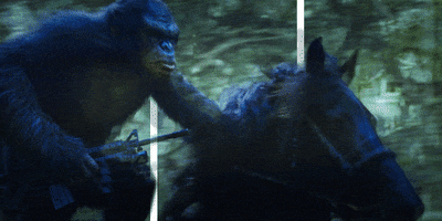 planet of the apes horse GIF