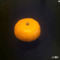 orange GIF by GoPop