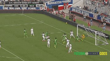 world cup soccer GIF by Fusion